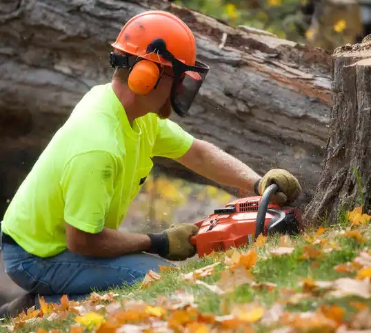 tree services Nisswa